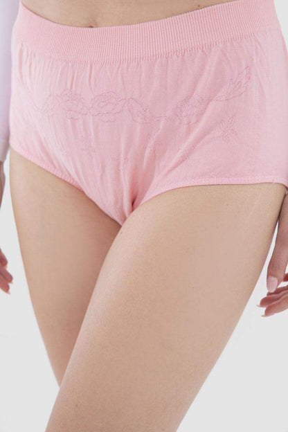 High Waist Panty - Carina - ??Ã¢â‚¬â„¢????????ÃƒÂ±??Ã¯Â¿Â½ÃƒÂ¿??Ã†â€™?ÃƒÂ¿????
