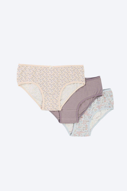 Carina Pack of 3 Colored Brief Panties