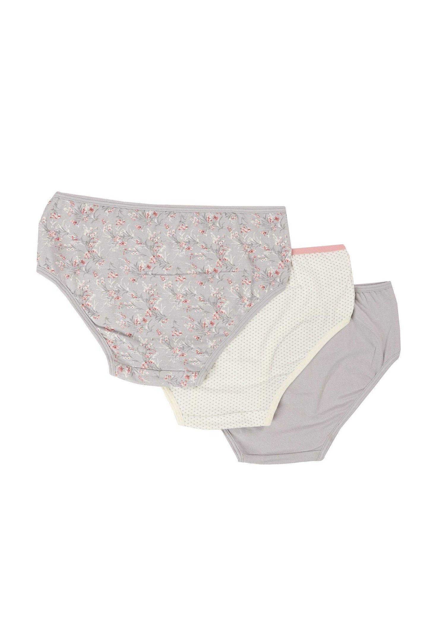 Pack of 3 Colored Brief Panties - Carina - ??Ã¢â‚¬â„¢????????ÃƒÂ±??Ã¯Â¿Â½ÃƒÂ¿??Ã†â€™?ÃƒÂ¿????
