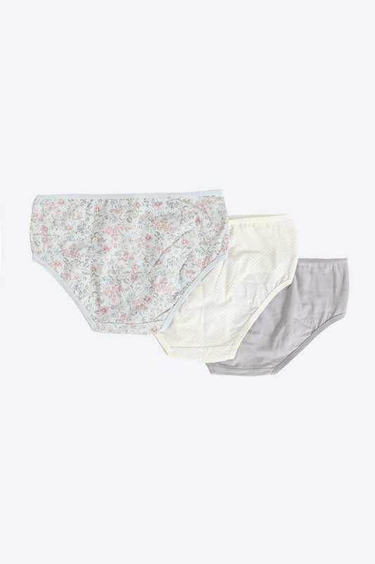 Carina Pack of 3 Colored Brief Panties