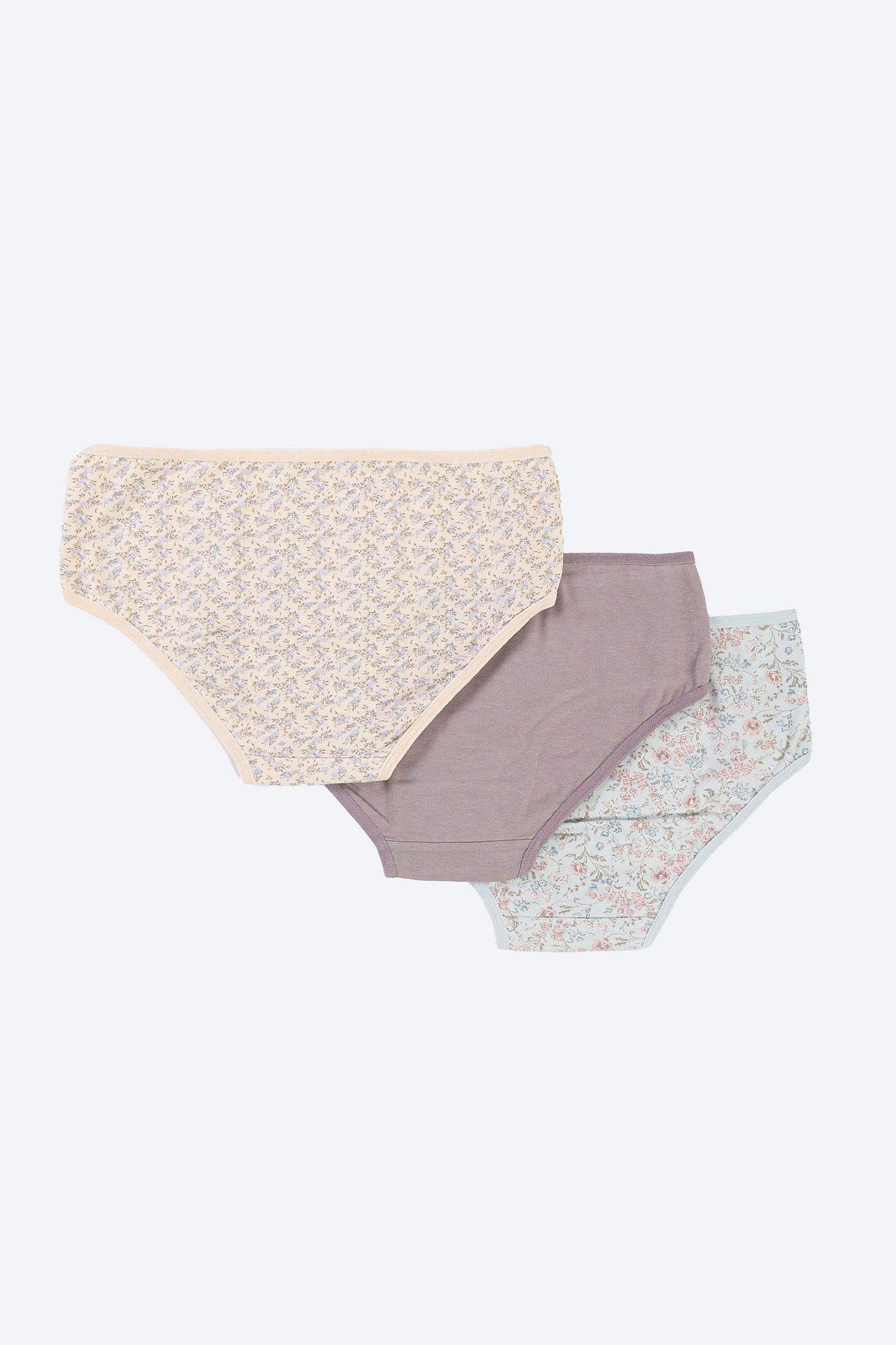 Carina Pack of 3 Colored Brief Panties