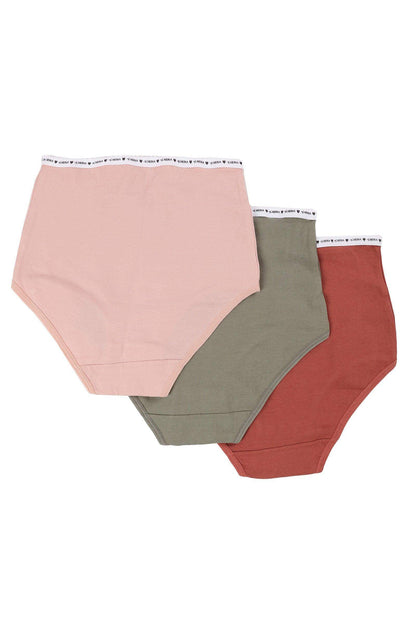 Pack of 3 Colored Full Brief - Carina - ??Ã¢â‚¬â„¢????????ÃƒÂ±??Ã¯Â¿Â½ÃƒÂ¿??Ã†â€™?ÃƒÂ¿????