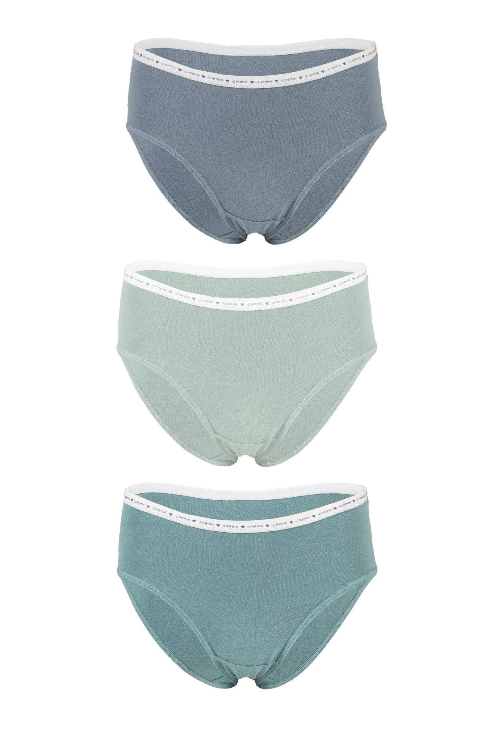 Pack of 3 Plain Brief Panties - Carina - ??Ã¢â‚¬â„¢????????ÃƒÂ±??Ã¯Â¿Â½ÃƒÂ¿??Ã†â€™?ÃƒÂ¿????